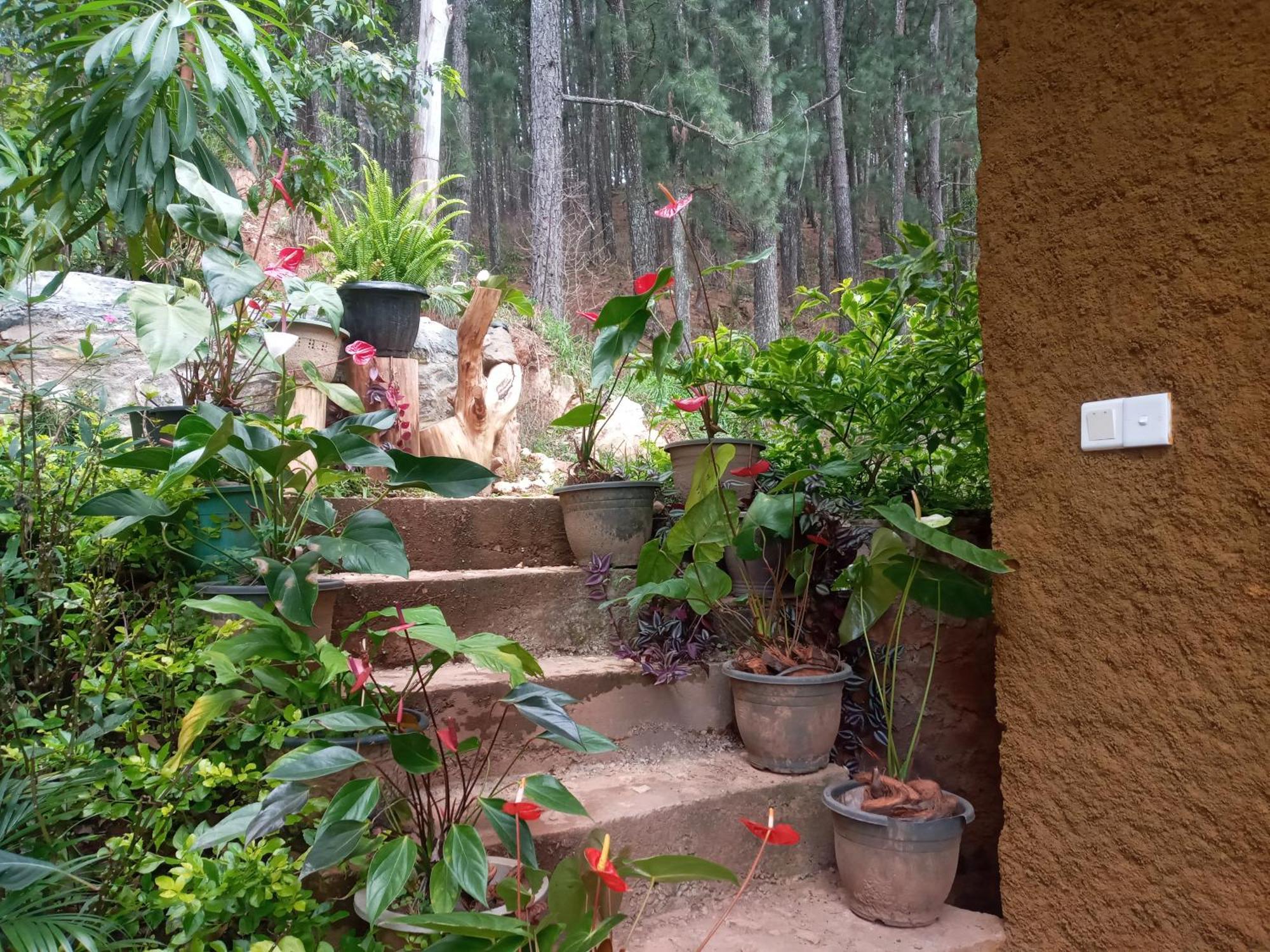 Nethsara Cottage Ella Exterior foto